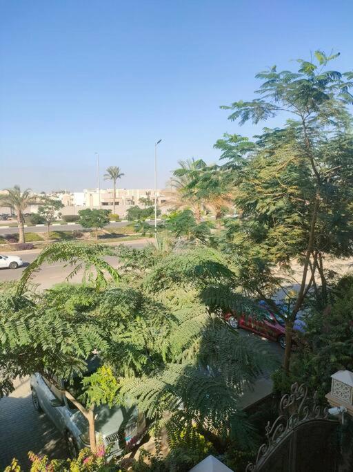 Luxurious Festival Star Cairo
